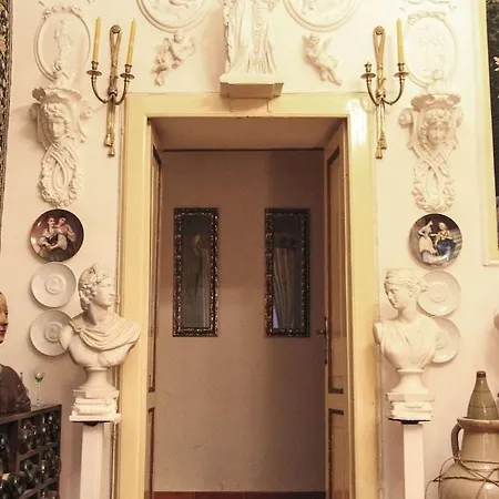 Matisse Royal 2*